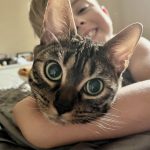cat12
