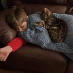 cat18